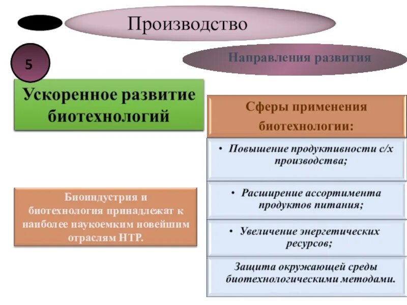 Главные направления развития производства нтр. Направления производства. Направления производства НТР. Ускоренное развитие биотехнологии в НТР. Направления развития производства НТР.