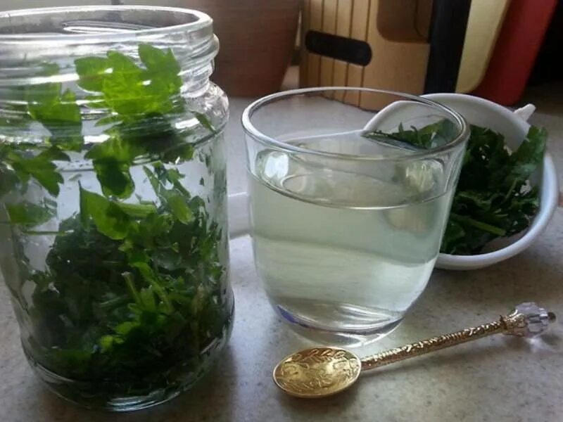 Чай из петрушки. Отвар корней петрушка. Настой петрушки. Петрушка пить отвар. Отвар петрушки.