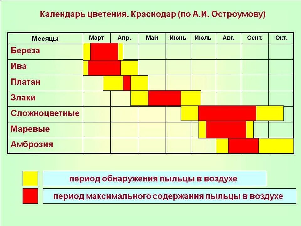 Календарь цветения для аллергиков Краснодарский край. Календарь цветения аллергенных растений Крыма. Период цветения аллергенных растений. Период аллергии на цветение. Аллергены сейчас