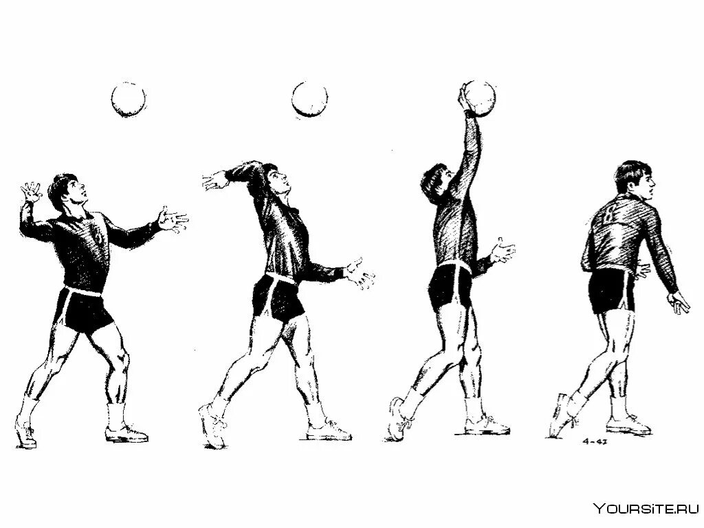 Упражнения для подачи в волейболе. Верхняя прямая подача в волейболе. Силовая подача в волейболе. Техника верхней подачи мяча. Техника подачи мяча в волейболе.
