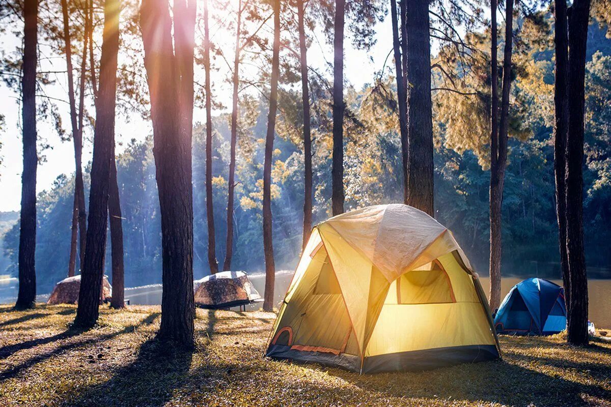 Палатка Ronin Camp. Таганай палаточный городок. Таганай кемпинг. Таганай палаточный лагерь. Camping rus