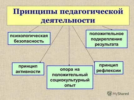 Принцип деятельности пример