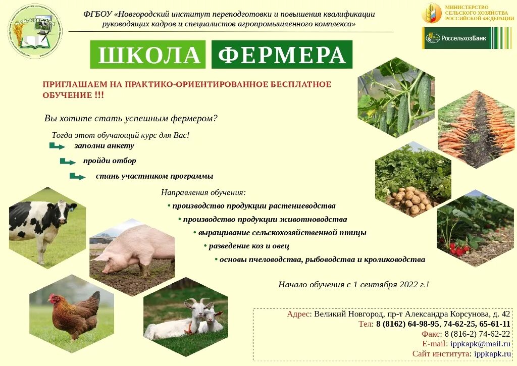Программа школа фермера. Школа фермера. школа фермера картинки. программа школа фермеров. школа юного фермера.