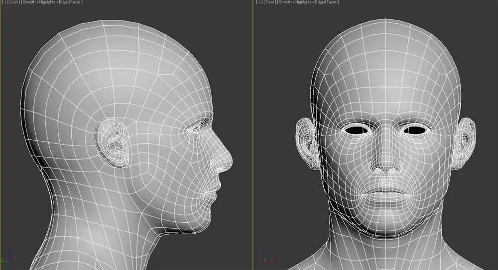 Моделирование лица. Голова человека для моделирования. Модель человеческой головы. Топология лица. Detailed reference
