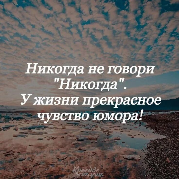 Хорошо сказано цитаты. Чувство прекрасного цитаты. Никогда не говори никогда у жизни прекрасное чувство юмора. Никогда не говори никогда цитата. Замечательная фраза