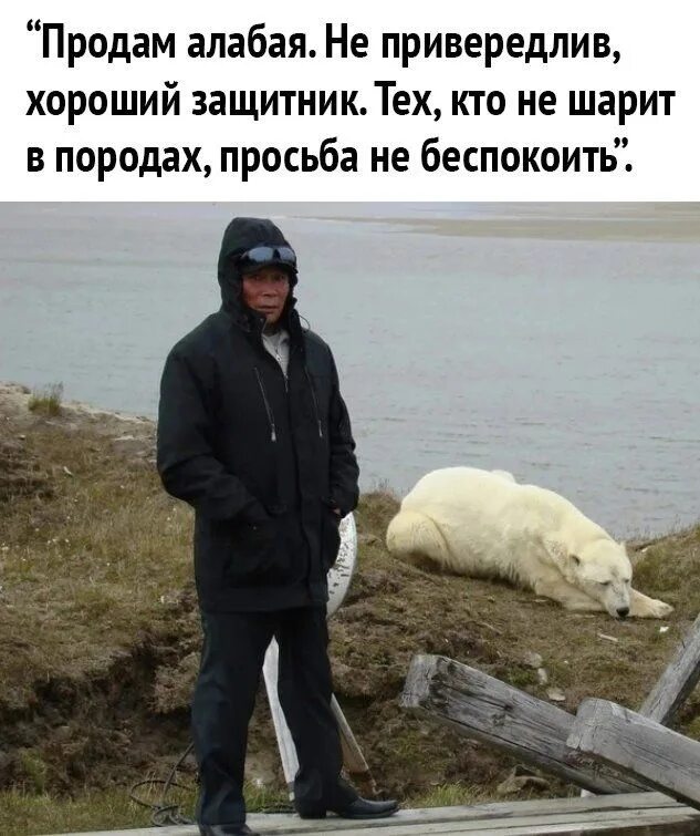 Омар хайям один не разберет чем пахнут розы. Толком не разобралась. Юмор про гуманитариев. Эдди мерфи think about it. Мем тебе не придется если шаблон.