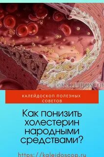 Снижение холестерина народными методами