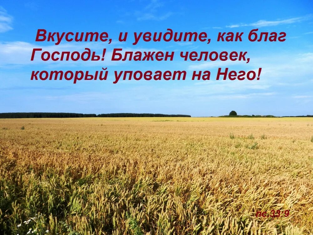 Вкусите и видите. Молиться богу. Как благ господь. От юности моея группа. Вкусите и видите.