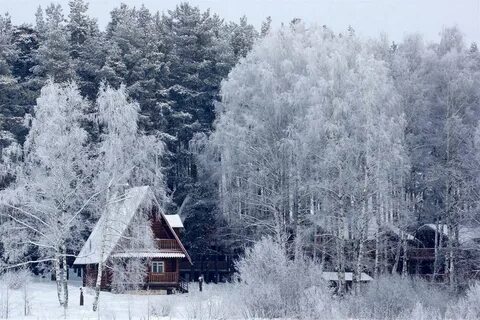 Костромская область февраль
