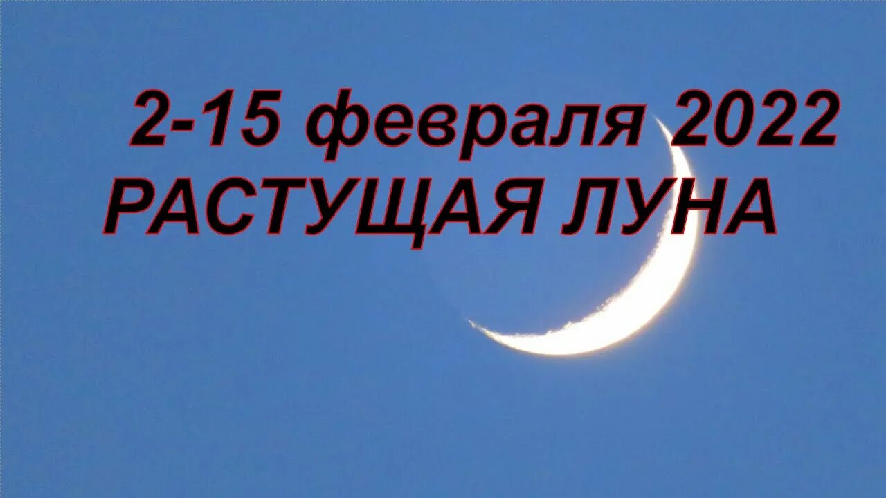 Полнолуние в феврале 2024. Лунные противоположности. Когда будет полнолуние. Какого числа в феврале полнолуние. Когда наступит полнолуние в феврале.