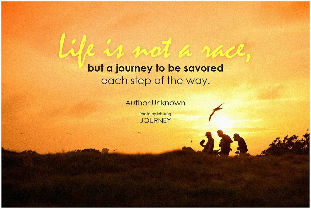 Life is a Journey. Author Unknown. Journey of Life. Life is a Journey качели. I like journey
