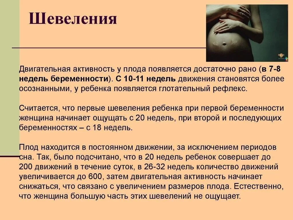 Ребенок 1 2 недели беременности. Первые шевеления плода. Когда начинает шевелиться ребенок. Во сколько недель начинает шевелиться ребенок. Первое шевеление плода первобеременная ощущает в.