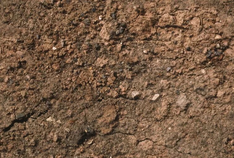 Текстура земли. Почва текстура. Почва текстура. Earth material. Earth material.