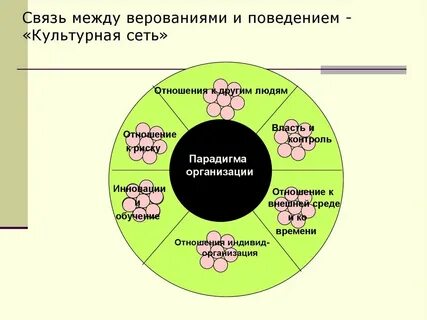 Сетевые культурные проекты это