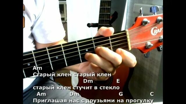 Клен аккорды бой. Вечно молодой табы. старый клен по аккордам. вечная молодость чиж аккорды.