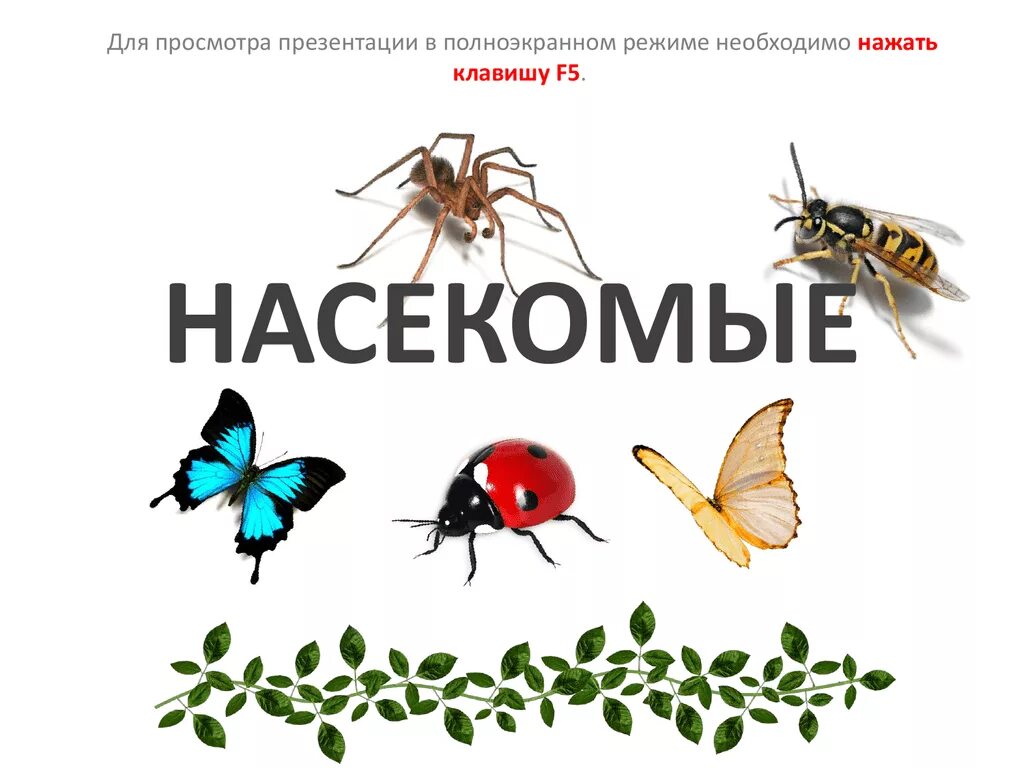 Календарное по теме насекомые. Надпись насекомые. Насекомые для детей. Насекомые в садик. Альбом насекомые для детского сада.