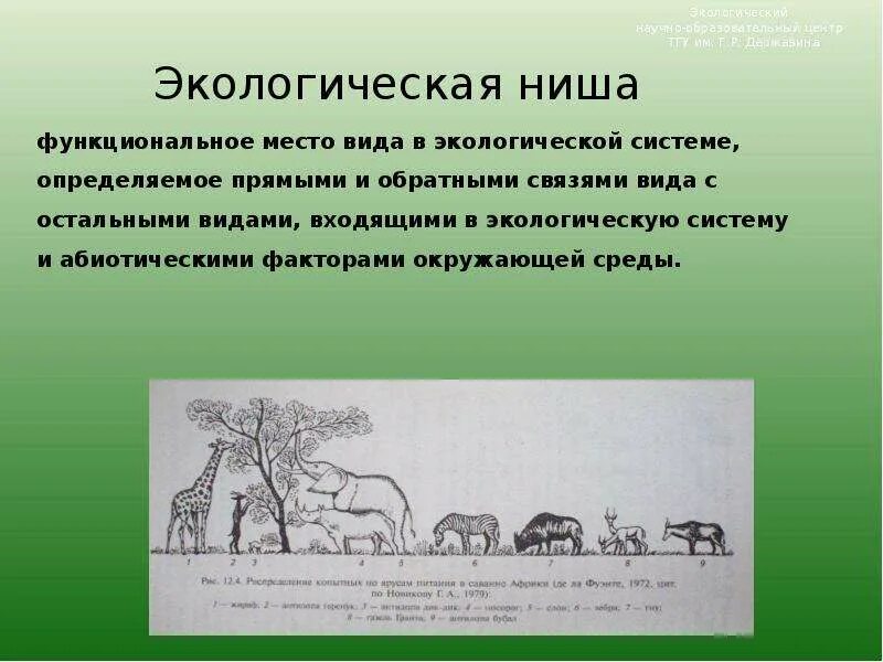 Экологическая ниша. Экологические ниши схема. Экологические ниши примеры. 2 примера экологических ниш