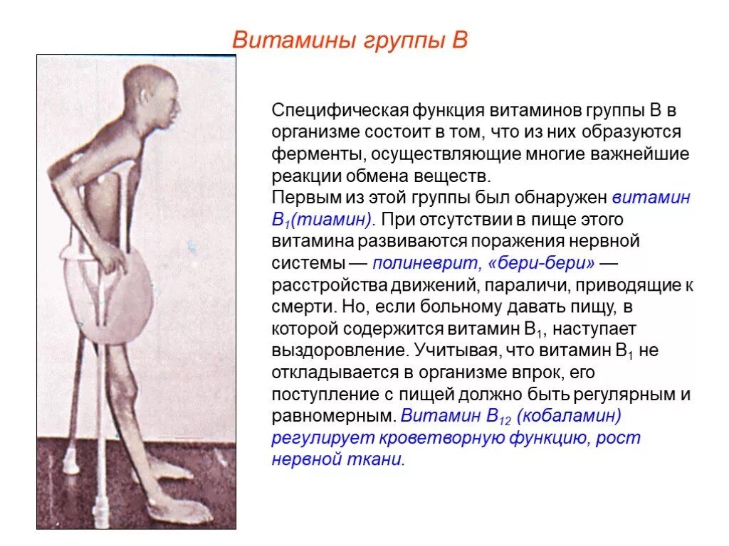 Бери бери платные подписки