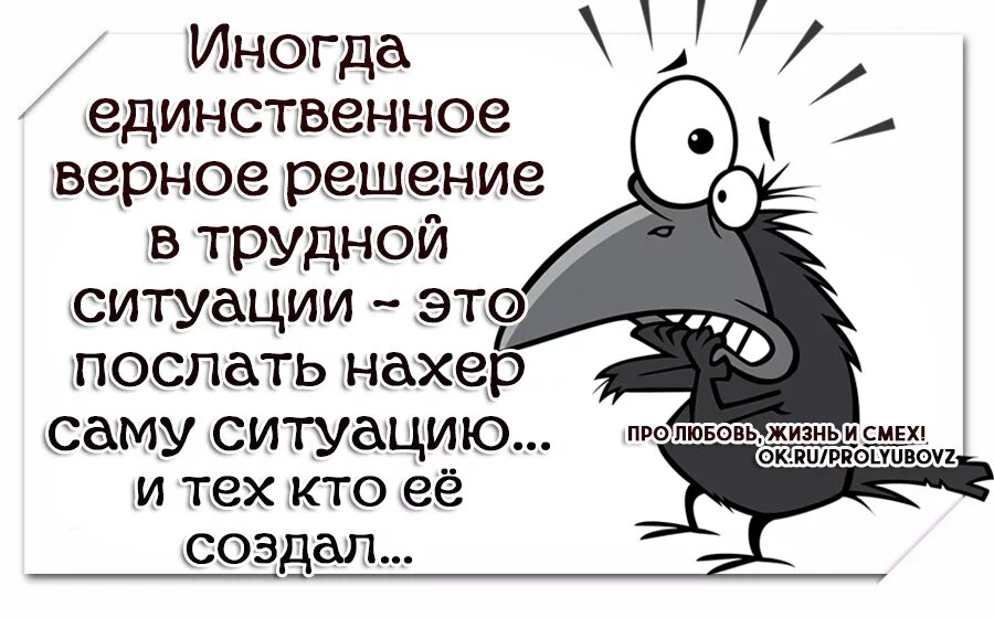 Принимать единственно верное решение. Иногда единственное верное решение в трудной ситуации. Цитаты послать всех. Иногда хочется послать всех. Цитаты послать.