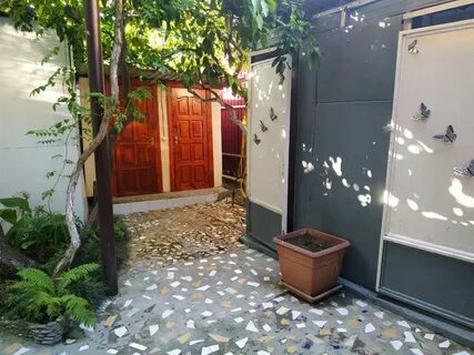Гагра ул саят нова