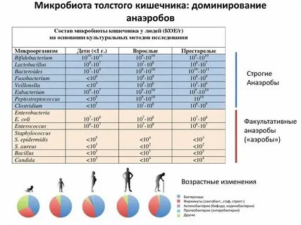 Нарушение качественного и количественного состава микрофлоры