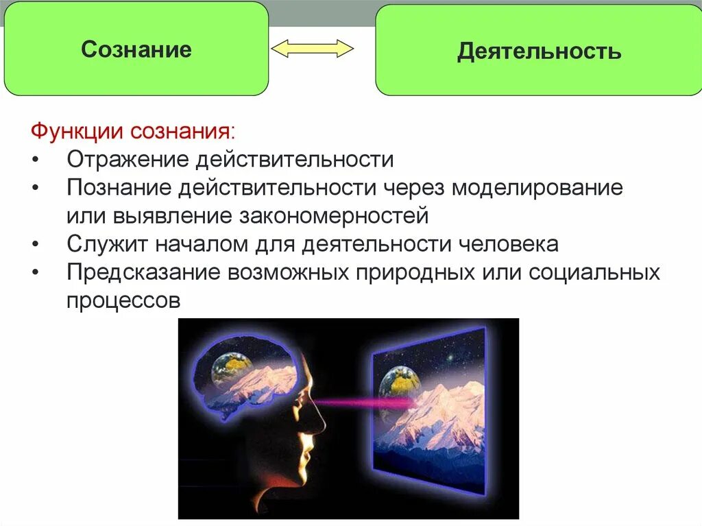 Сознание активность деятельность