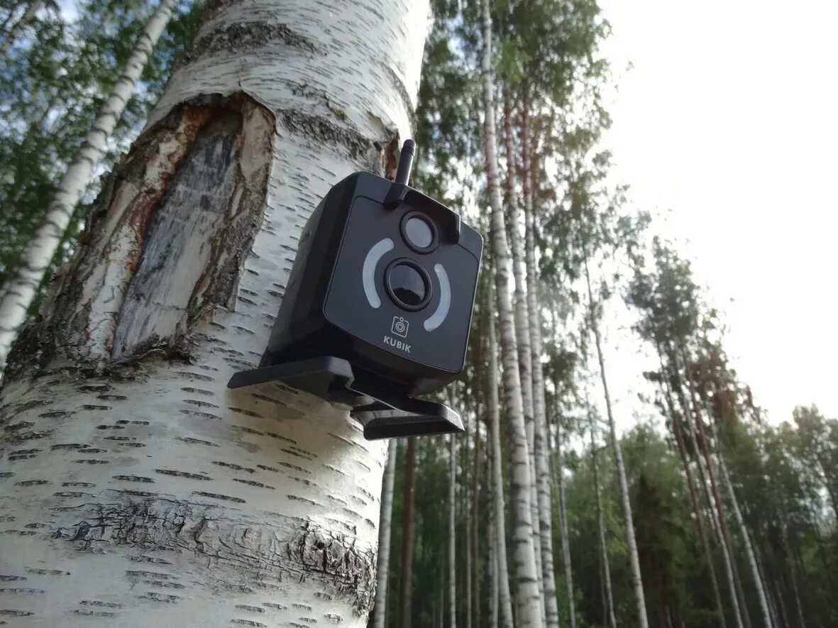 Что такое фотоловушка в биологии. Фотоловушка GSM Kubik-2. Камера фотоловушка. Фотоловушка для дачи. Фотоловушка для охоты.