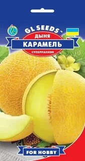 Дыня карамелька