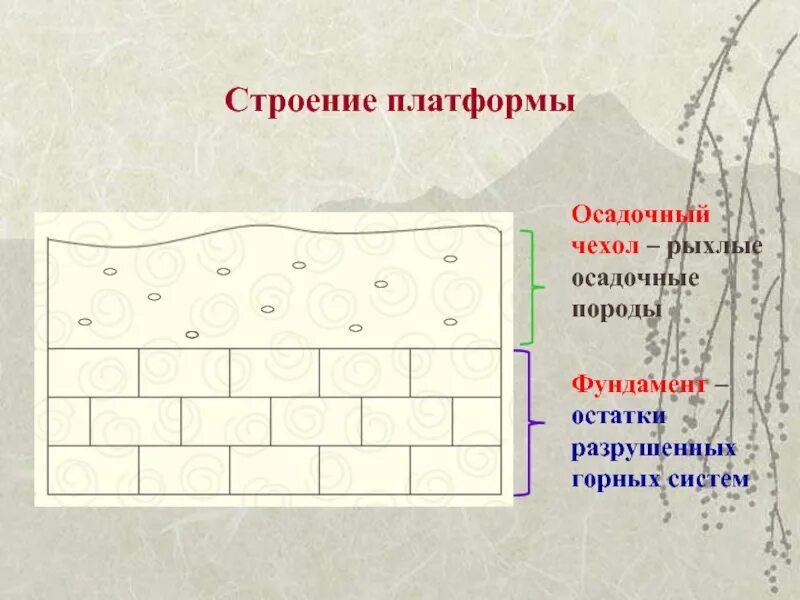 Фундамент и осадочный чехол. Строение платформы. Схема строения платформы. Щит осадочный чехол фундамент.