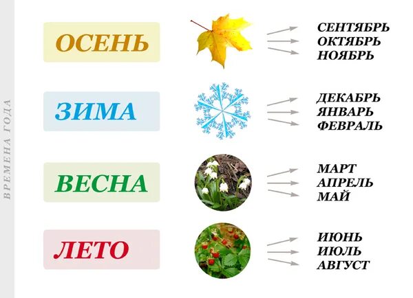 Повторить месяца года. Времена года и месяца. Времена года по месяцам. Название месяцев. Год и месяцы.