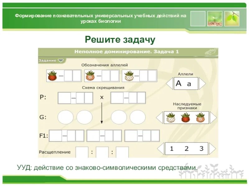 Формирование УУД на уроках. Формирование УУД на уроках биологии. Познавательные УУД на уроках биологии. Познавательные УУД задания.