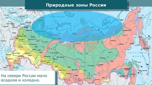 Распределите природные зоны севера россии