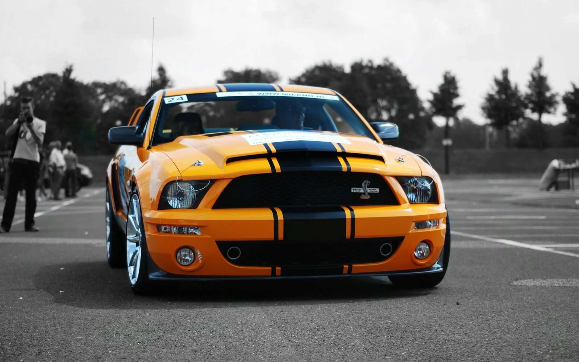 Фотки машин на телефон. Ford Mustang Shelby gt500 оранжевый. Форд Мустанг Шелби gt 500. Ford Shelby gt 500 жёлтый. Форд Мустанг ГТ 500 желтый.