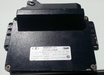 Мозг январь 5.1