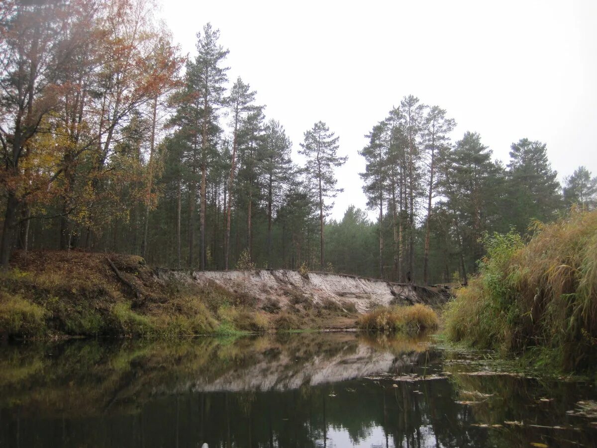 Муромский лес Белгород.