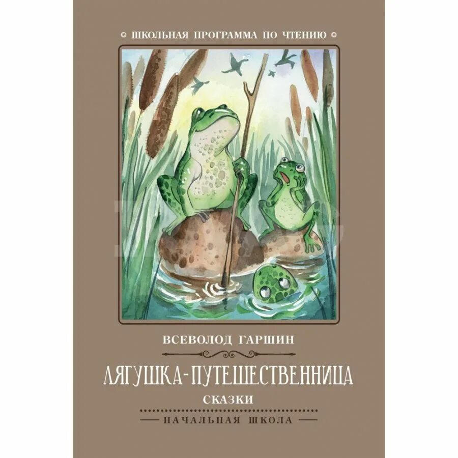 Гаршин сказки читать. Всеволод гарант лягушка путешественица. книга всеволод гаршин «лягушка-путешественница». гарин лягушка путешественица. гаршин сказки начальная школа.
