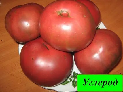 Томат углерод описание