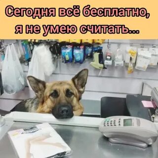 Тряхнуть кассира