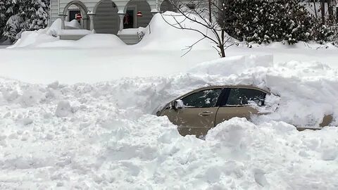 Снегопад засыпает дорогу