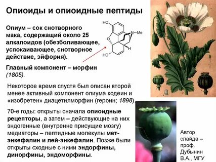 Функции мака