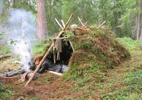 А4 24 в лесу. Укрытие в лесу. шалаш в лесу. автономное выживание в лесу. укрытия в лесу для выживания.