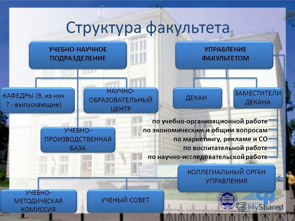 иерархия в университете факультет. какие есть факультеты. иерархия учебных заведений. организационная структура факультета в университете. структура факультета вуза.