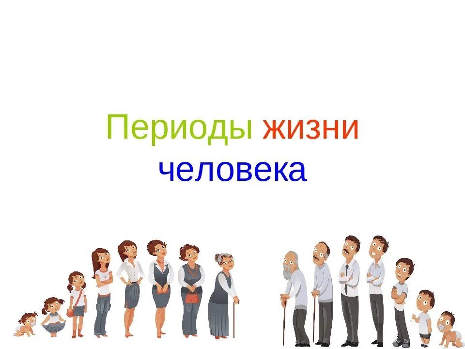 Периоды жизни человека. Человек в разные периоды жизни. Этапы жизни. Разные этапы жизни человека.