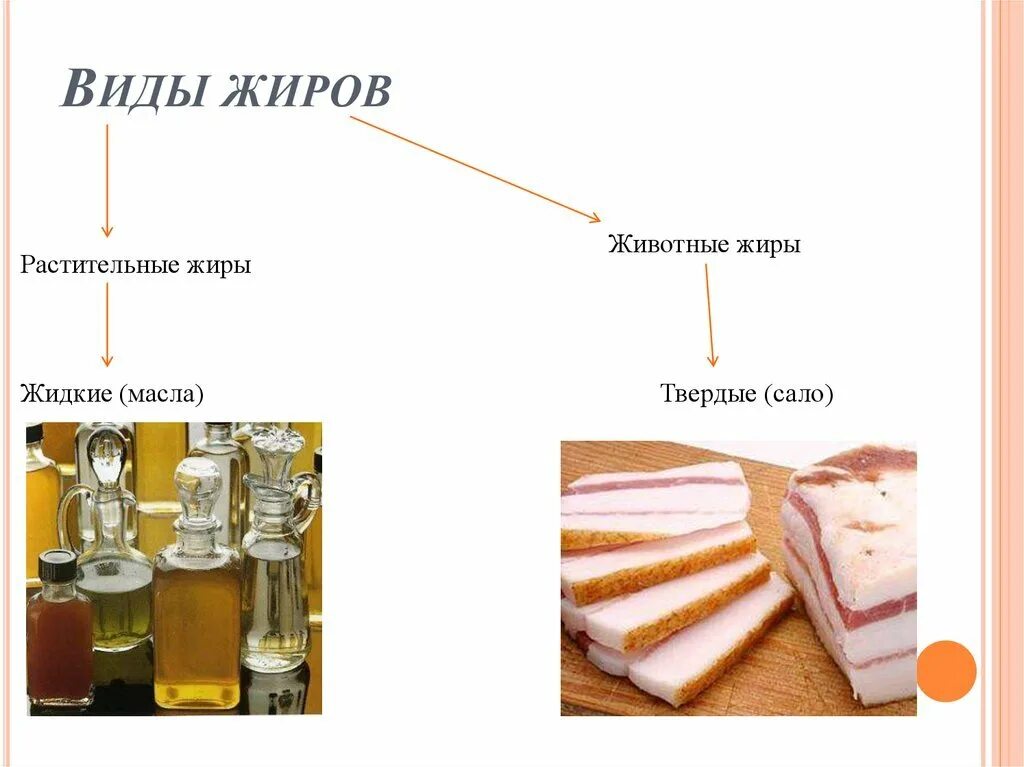 1 группа жиры. Виды жиров. Растительные и животные жиры. Жиры виды жиров. Животные жиры и растительные жиры.