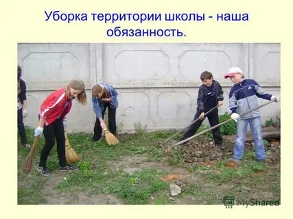 Работа территория школы