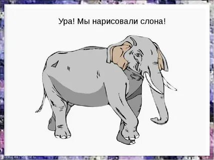 Тест слон картинки