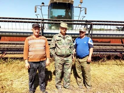 Сев поиск