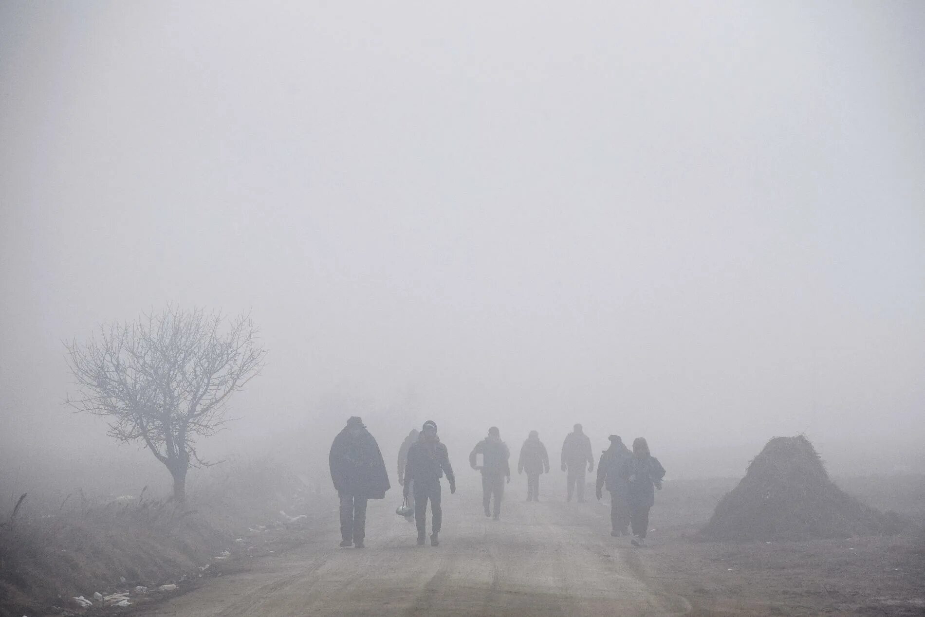 Туман про войну хорошее качество. Воин в тумане. Туман войны. Человек в тумане войны. Разум в тумане войны.