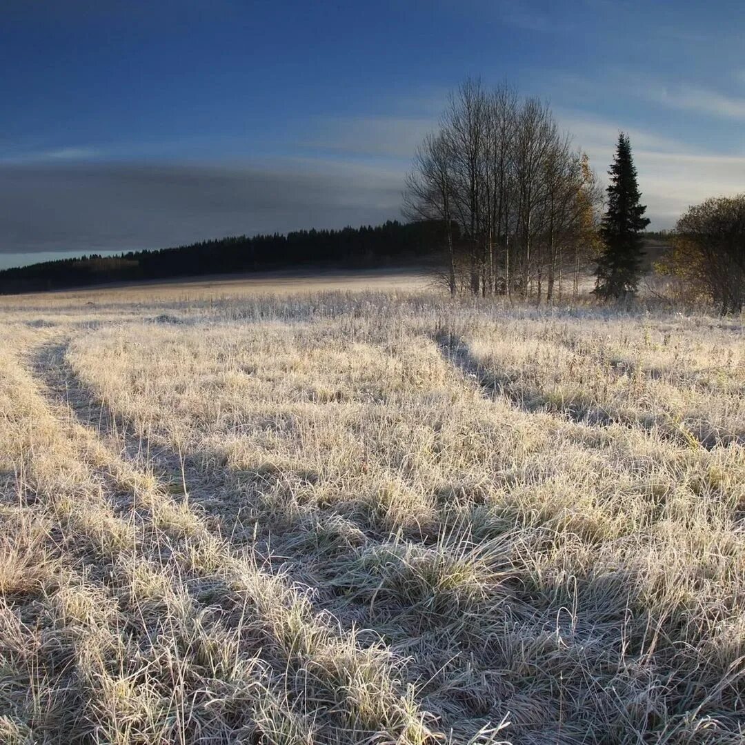 на кубани ожидается похолодание