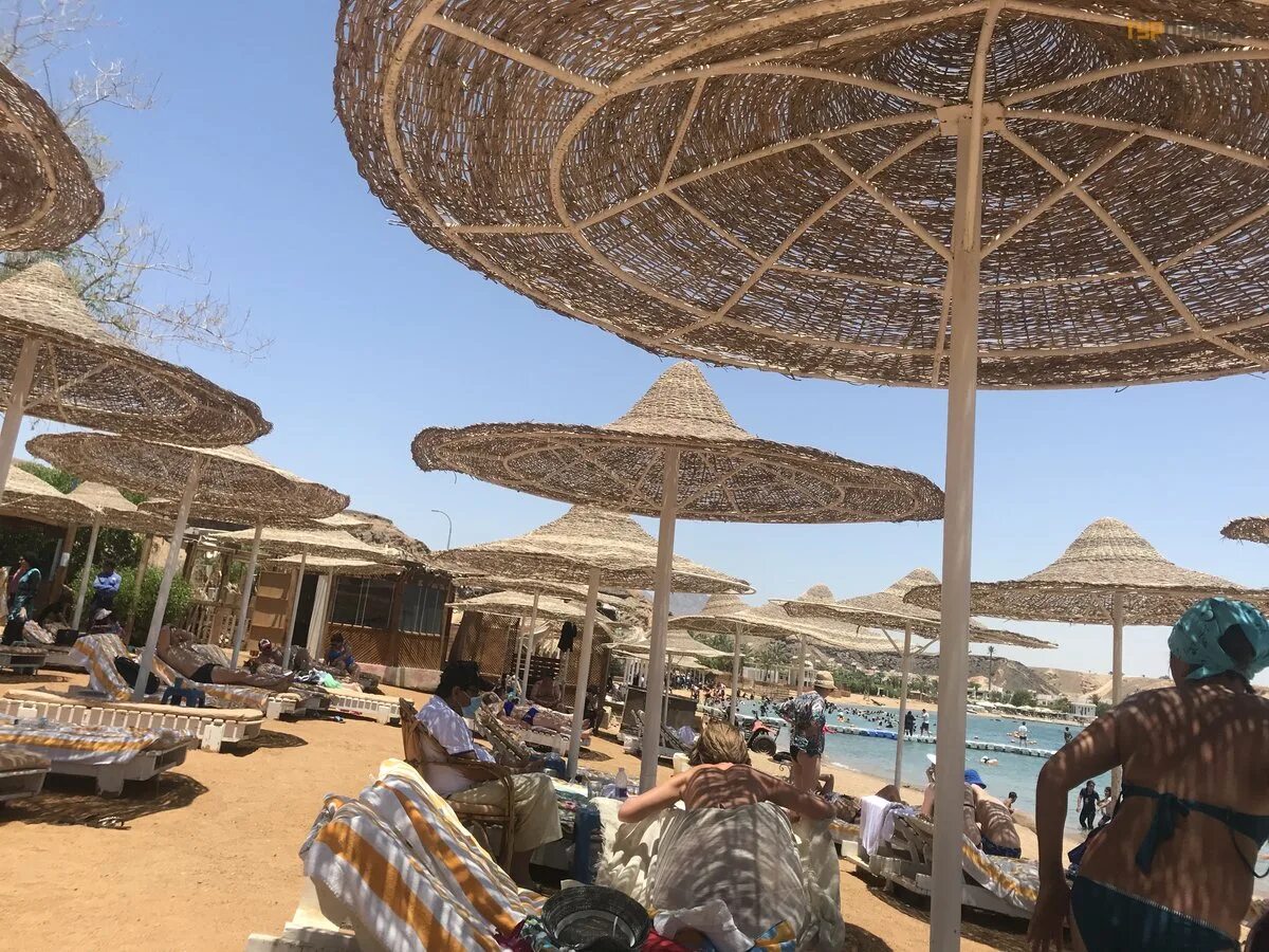 Олд вик шарм 4. Old vic sharm 4 шарм-эль-шейх. old vic 4 египет. old vic sharm resort 4*египет хадаба. old vic sharm resort 4 пляж.